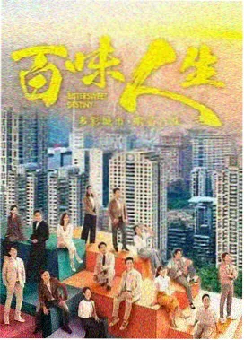 悬疑剧《雾港回声》封面